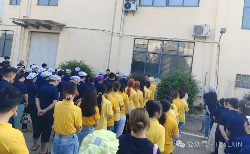 1767768943877418.jpg 4.jpg