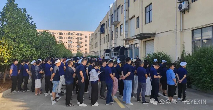 1767771846456825.jpg 3.jpg